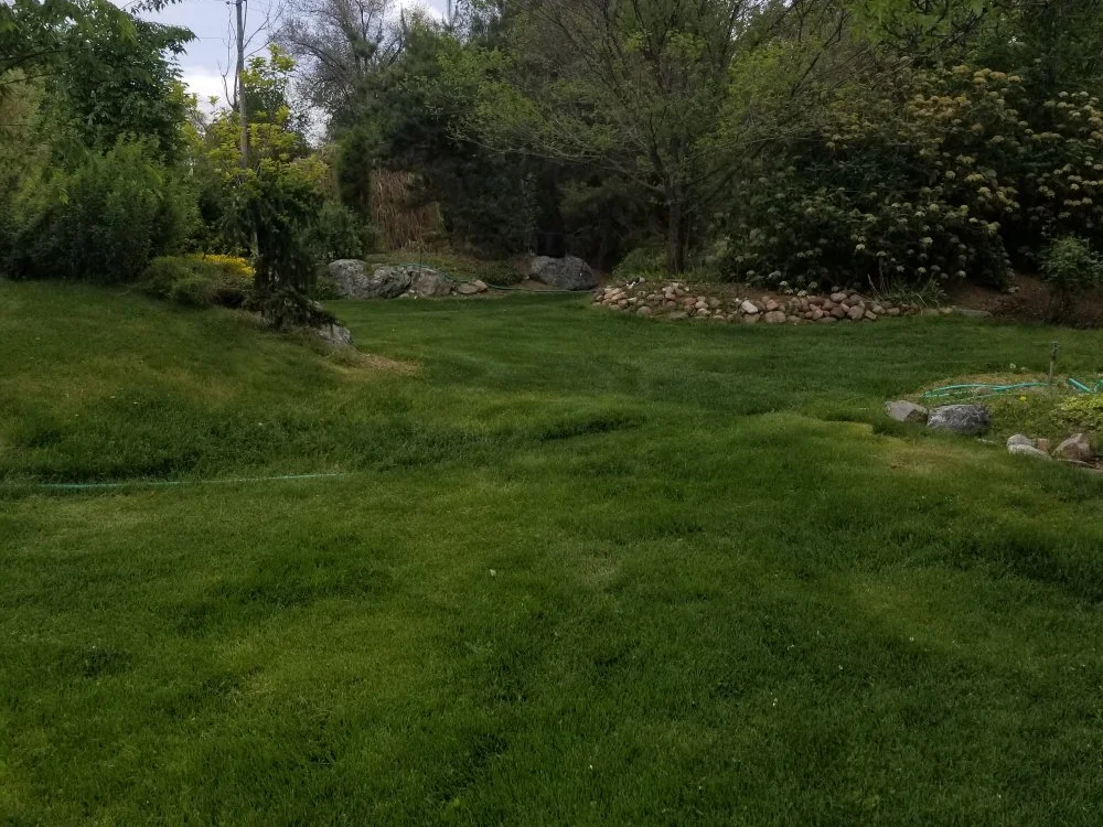 Офлайн-чат XXX daveletsplay