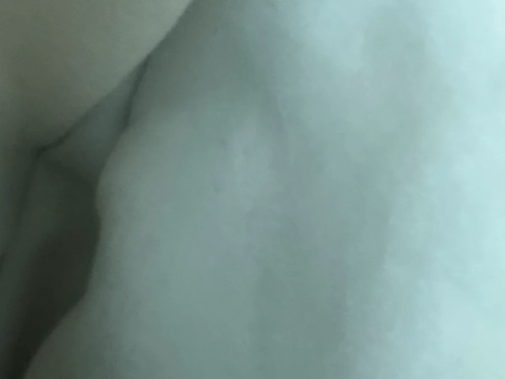 Adshesive 離線 XXX 聊天