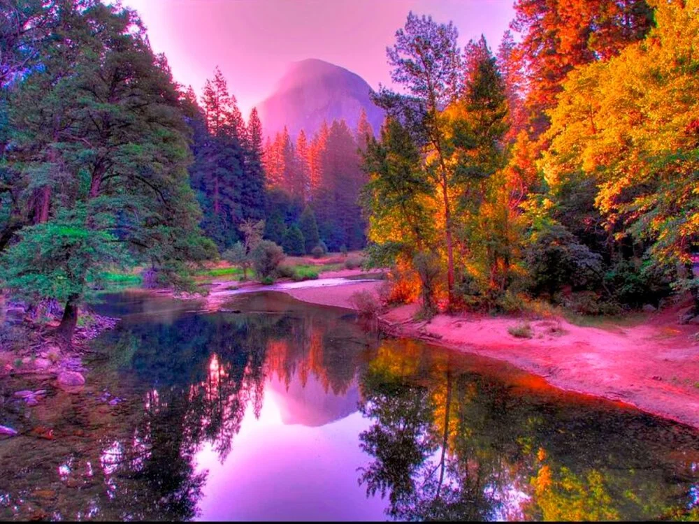 lesbiansexy02's Offline XXX Chat