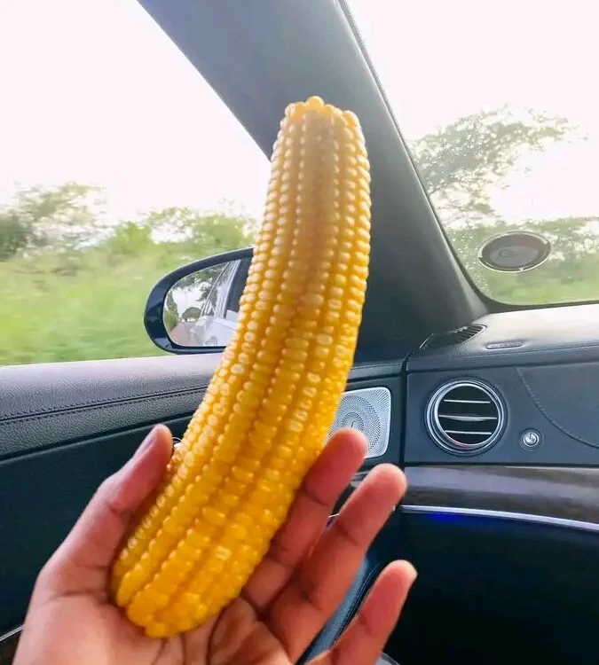 دردشة sexydickcock45 الجنسية دون اتصال