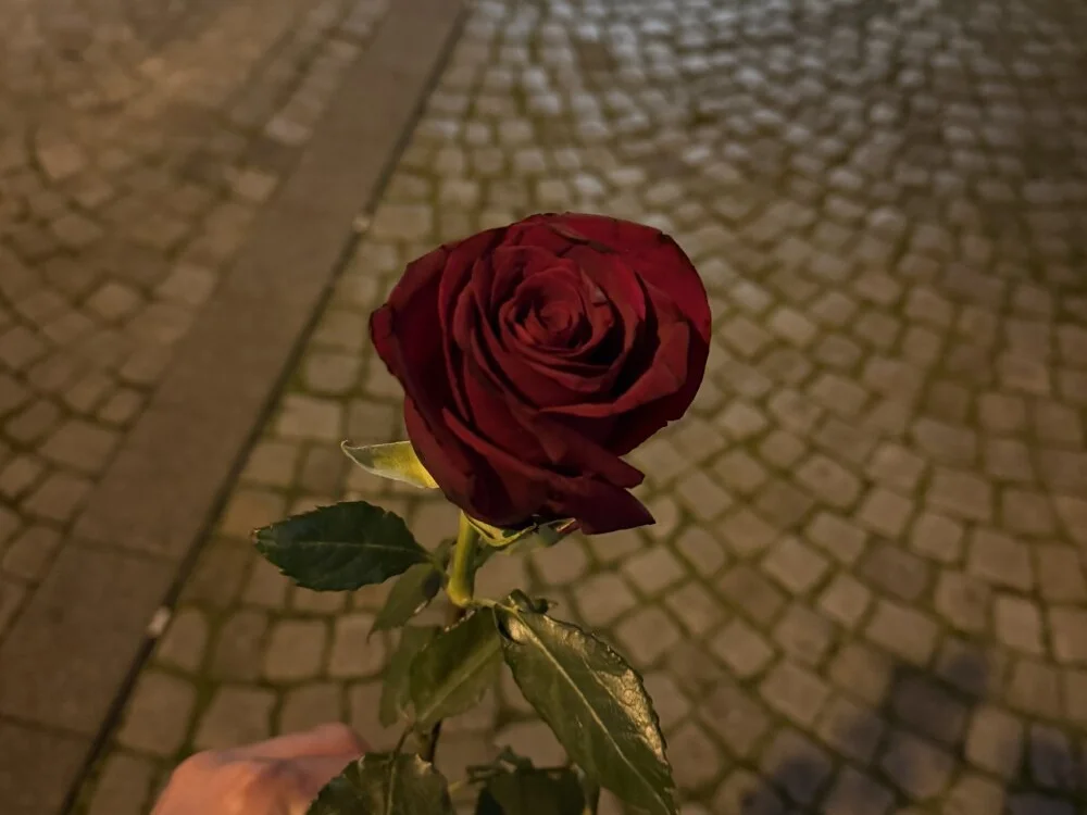 Goorg66 offline XXX-chatje