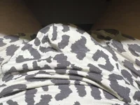 mosheng-'s webcam live show