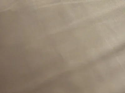 dutchbwc1