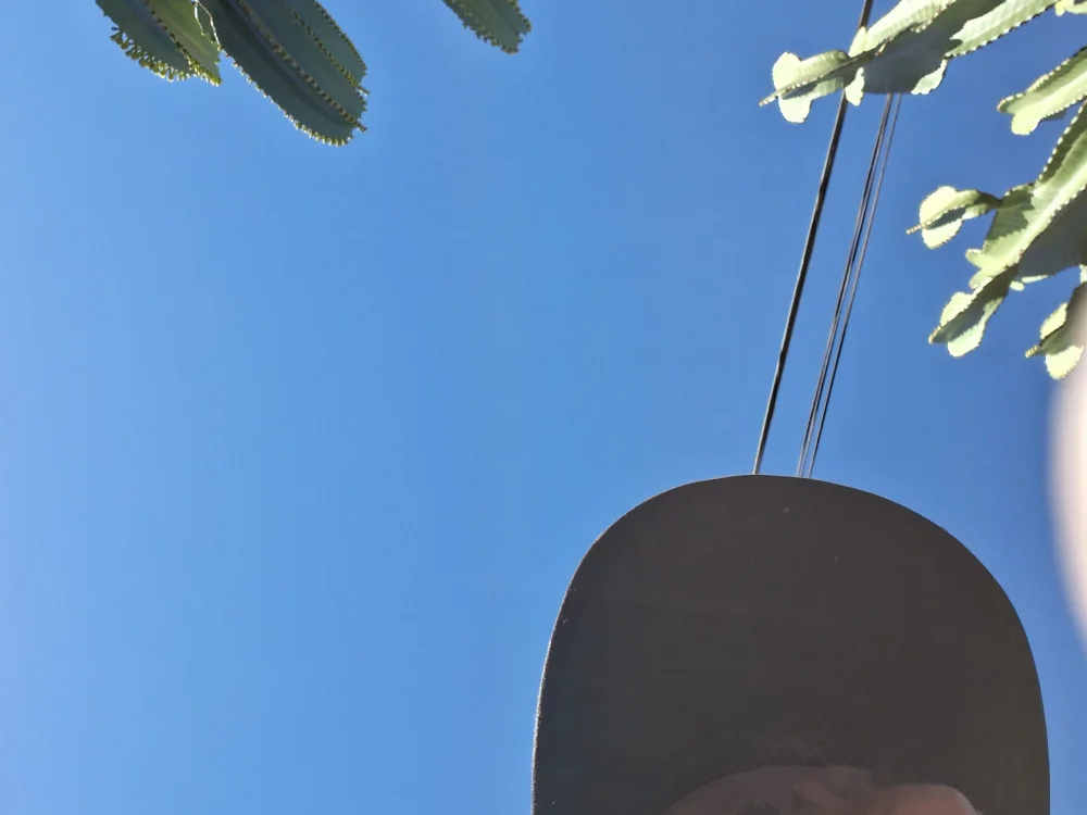 Elpixo Chat XXX offline