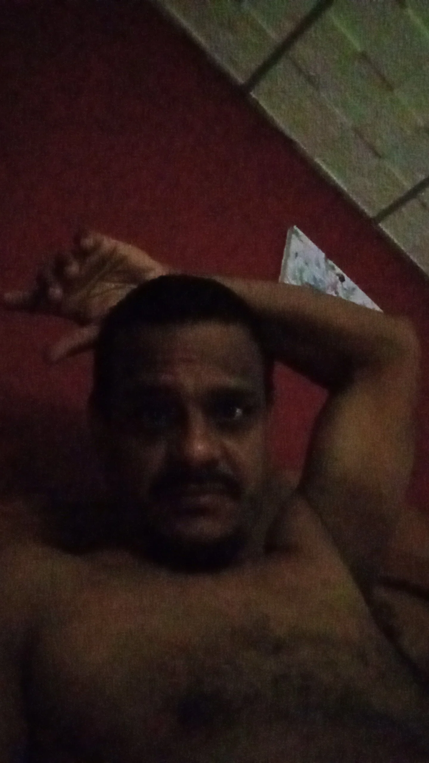 Betohola255