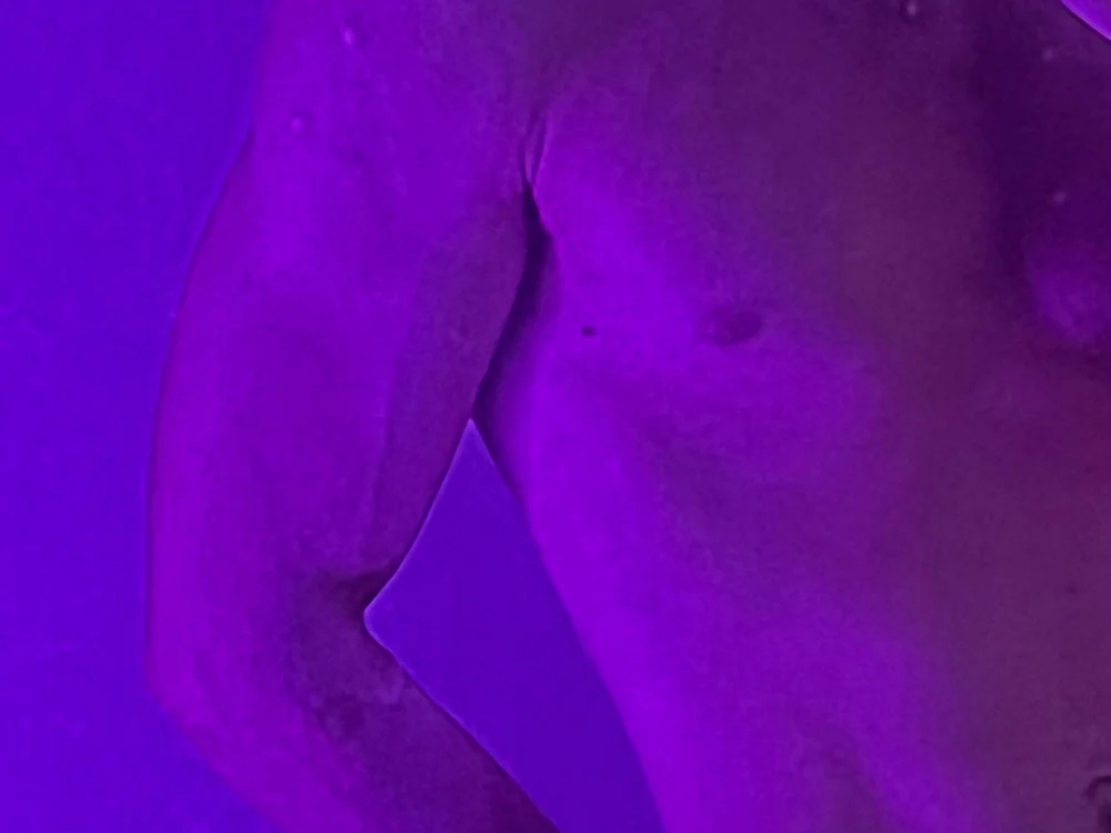 Офлайн-чат XXX Jeff-rey33