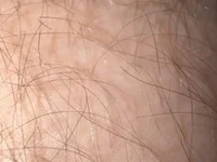 jungergeilerschwanz's webcam live show