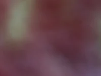 lustyromainxx
