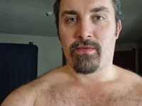 Модель Metalstud