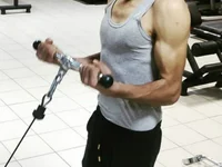 Модель Kurtsikici@xh