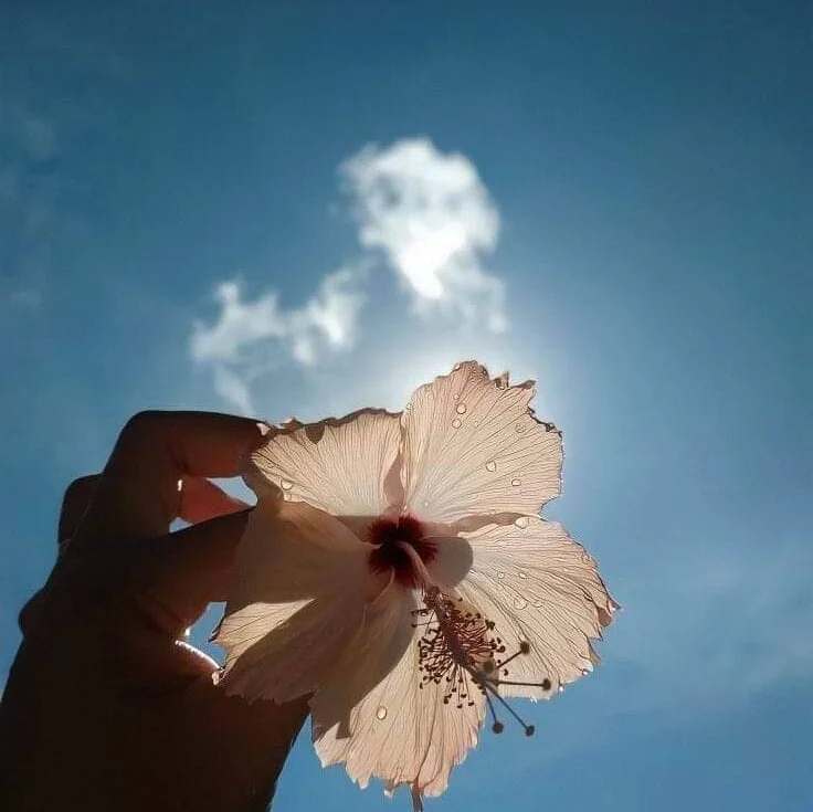 sadiakhan99 离线XXX聊天