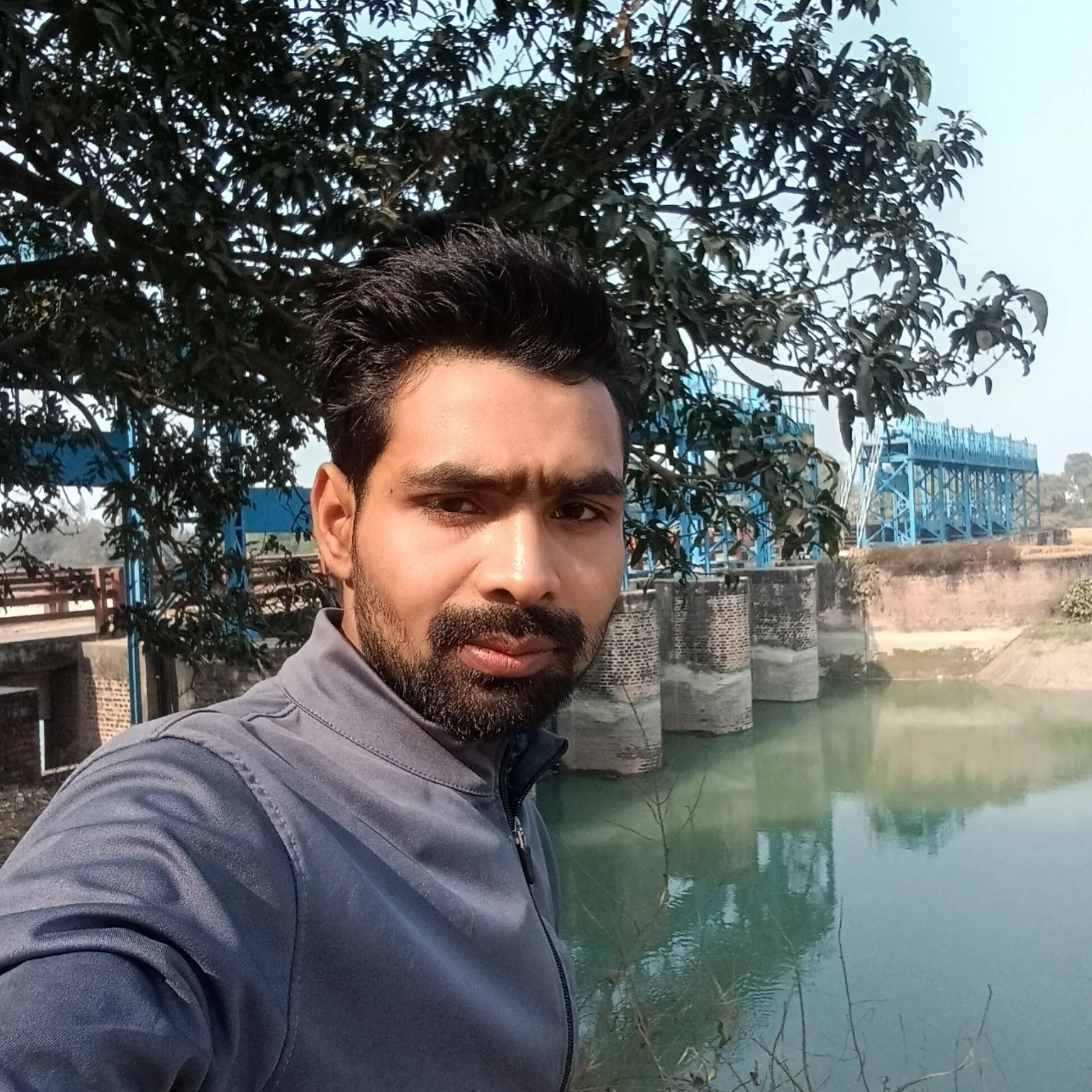 desipronworld
