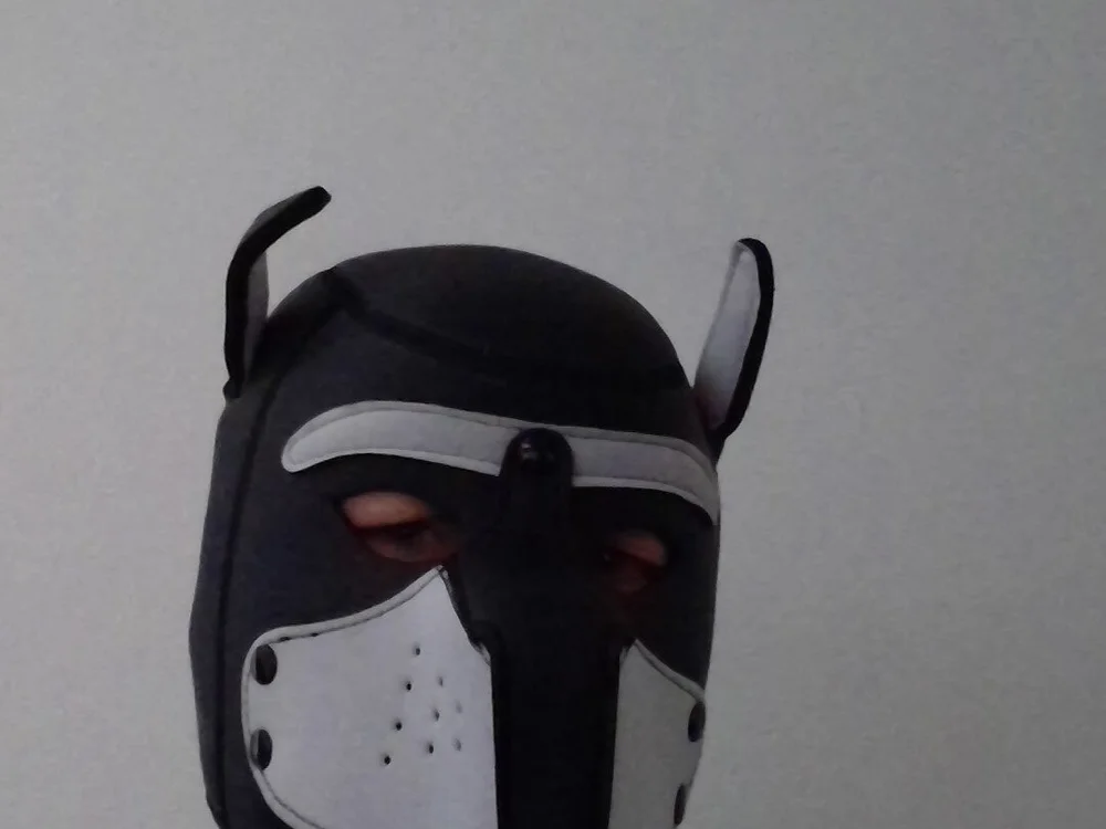 PuppyL0ve offline chatrum