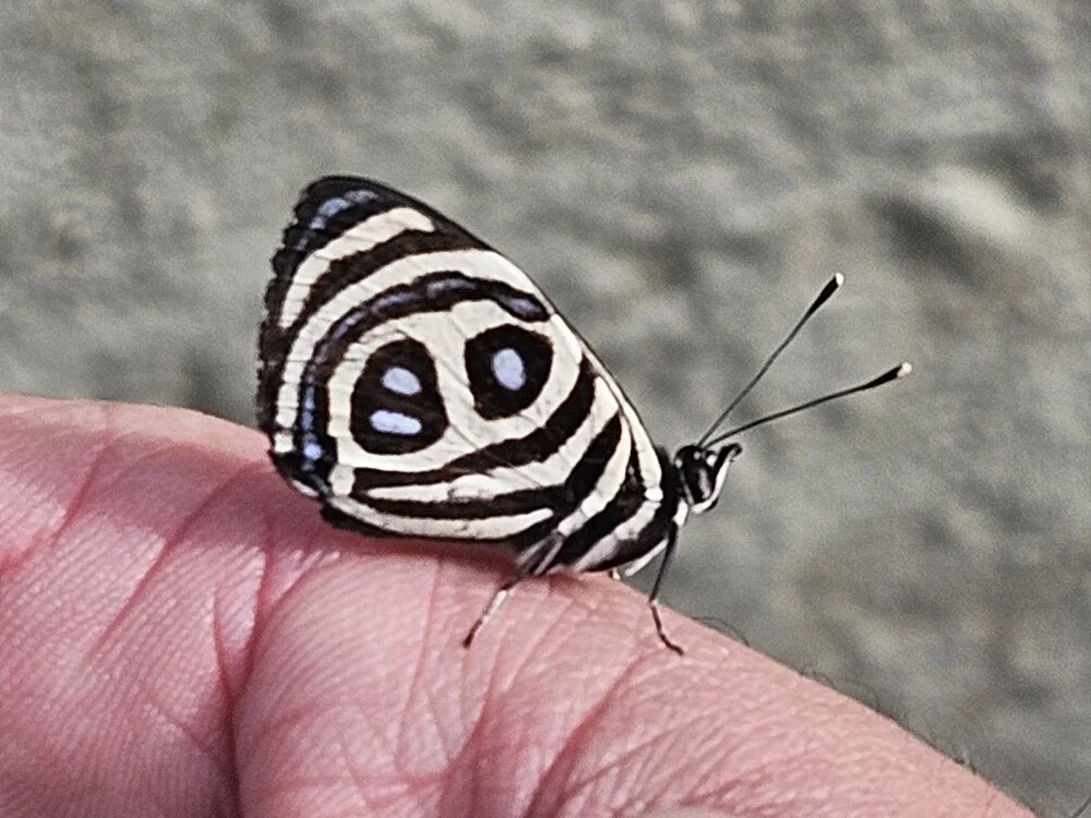 Офлайн-чат XXX casadoPuto1987