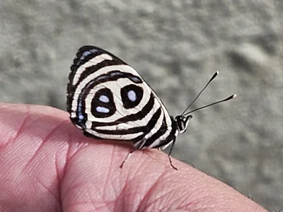 casadoPuto1987 profile