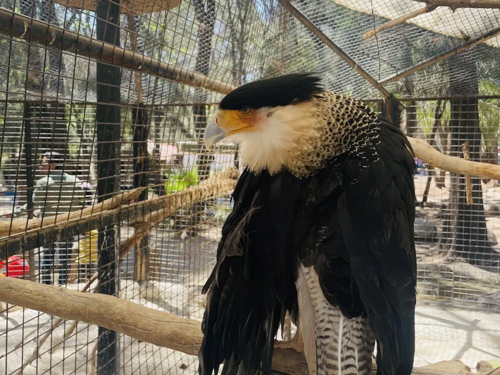 JuanSanchez6458: συνομιλία ΧΧΧ εκτός σύνδεσης