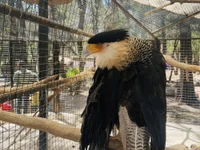 JuanSanchez6458's webcam live show