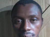 Модель KING_SQUIRT