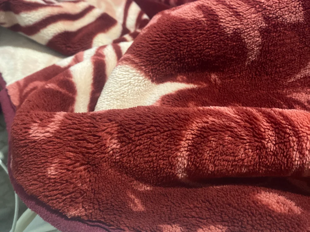 salman72728 live cam model on stripchat