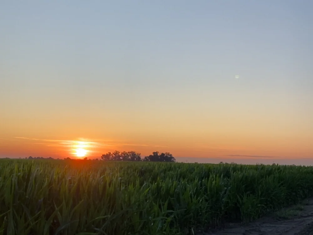 horny_boy_q's most recent online preview