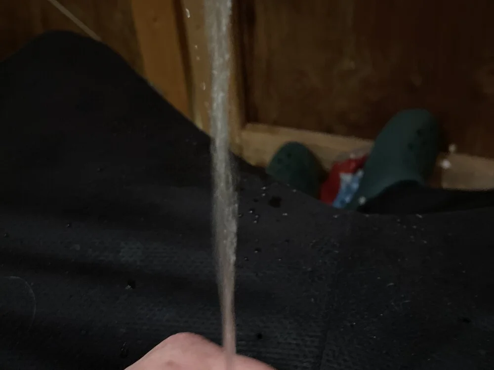 maxpeefunk Chat XXX offline