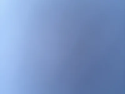 Traistan12 - Boy 