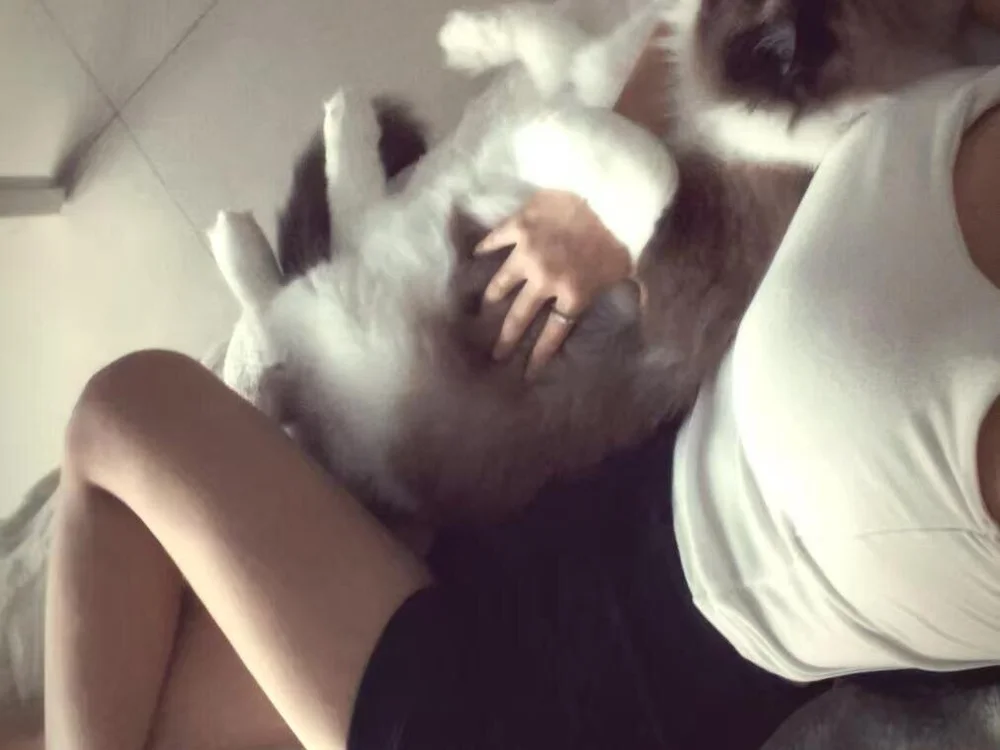 -siyubaby- Chat XXX Ngoại tuyến