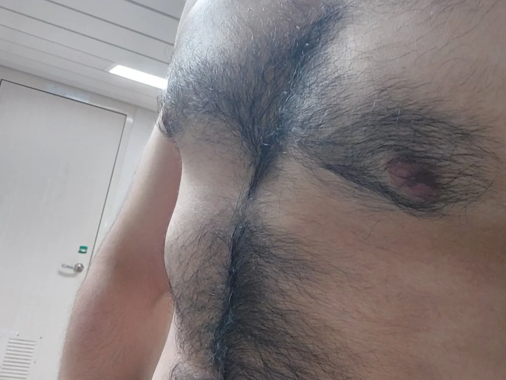 Alecumload offline XXX-chat