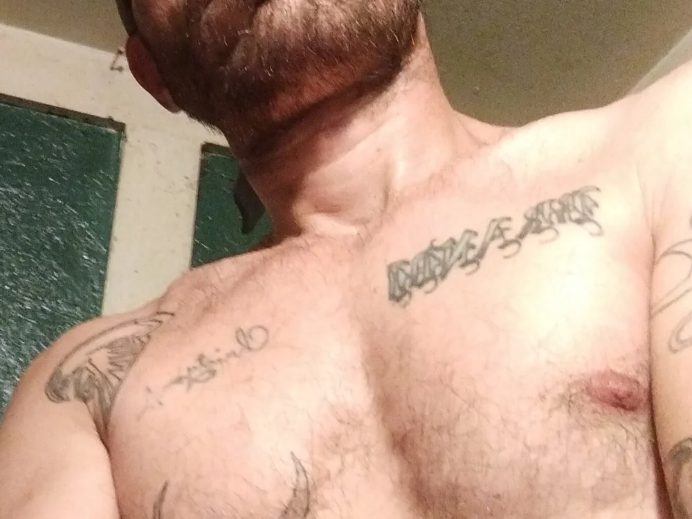 dicken_sider offline chatrum