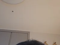 Ileina_