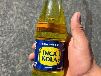 LionInLosAngeles profile