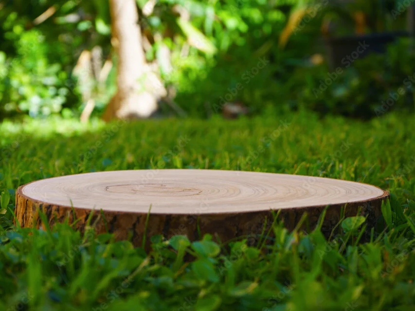 Chat +18 off-line de MaxPleasure22