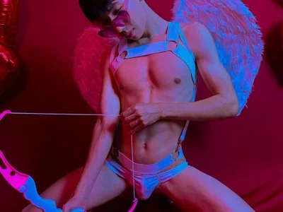 Levii_Ackermann profile