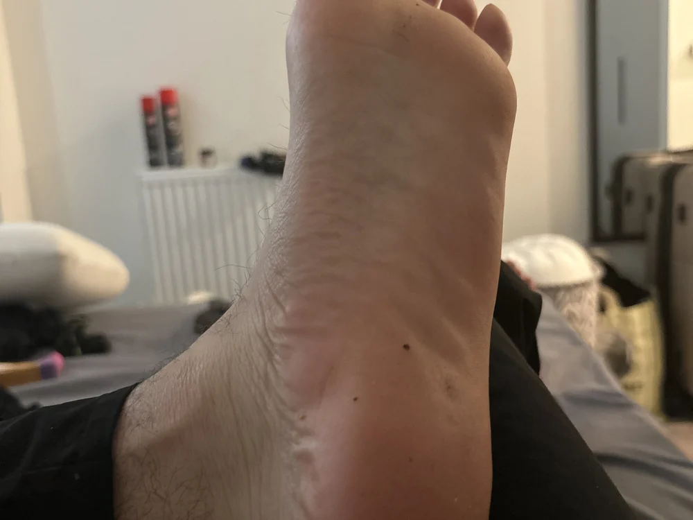 vegan420 অফলাইন XXX চ্যাট