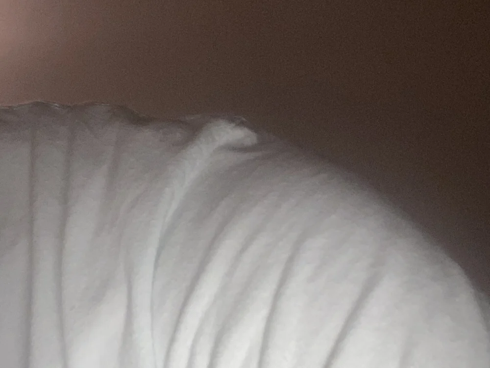 eeedddsss0 离线XXX聊天