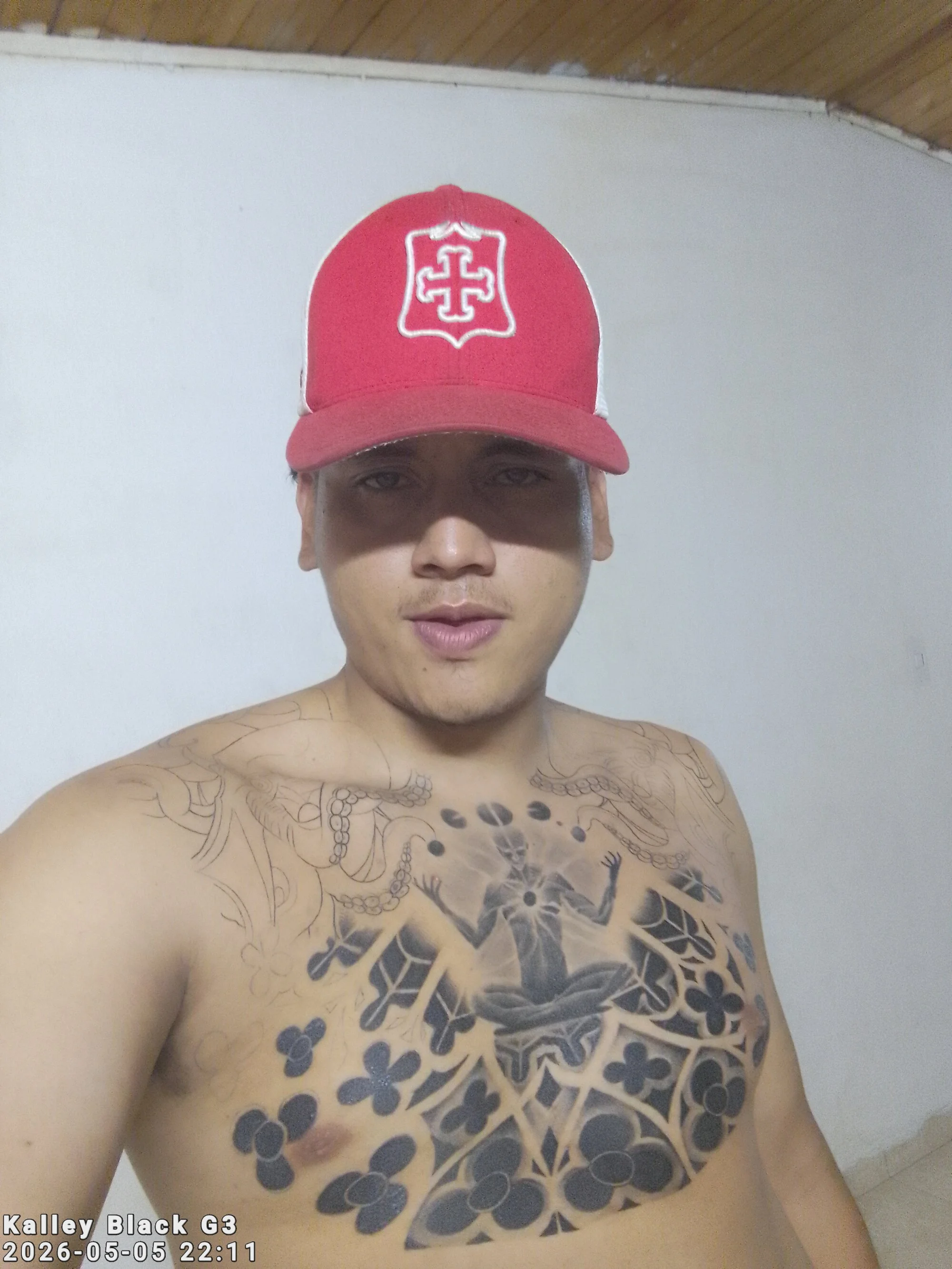 Ricoverlas