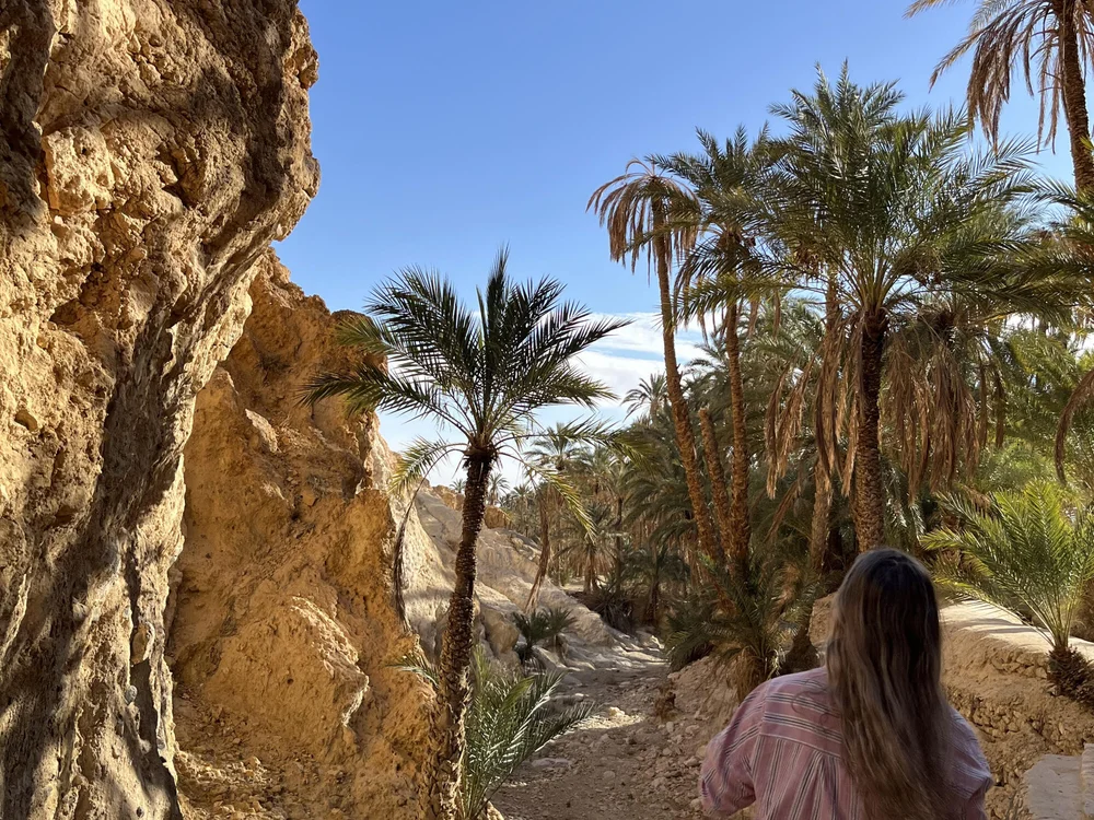 ROSIEx_sweet Offline XXX-Chat