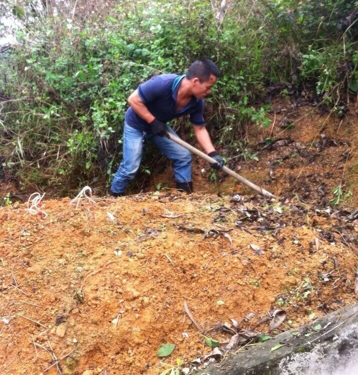 Hlan12 오프라인 XXX 채팅