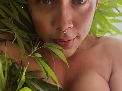 alicetgirlbr profile preview