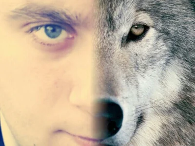 GEBZE_DONJUAN profile