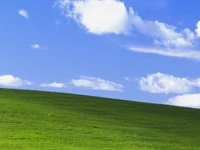 beebuzz0's webcam live show