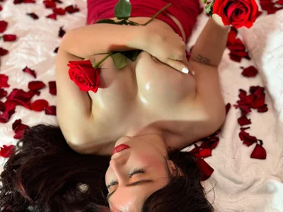 Viioletcollins profile