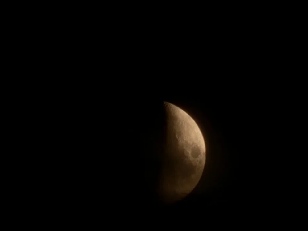 cover photo of Pablo_2210