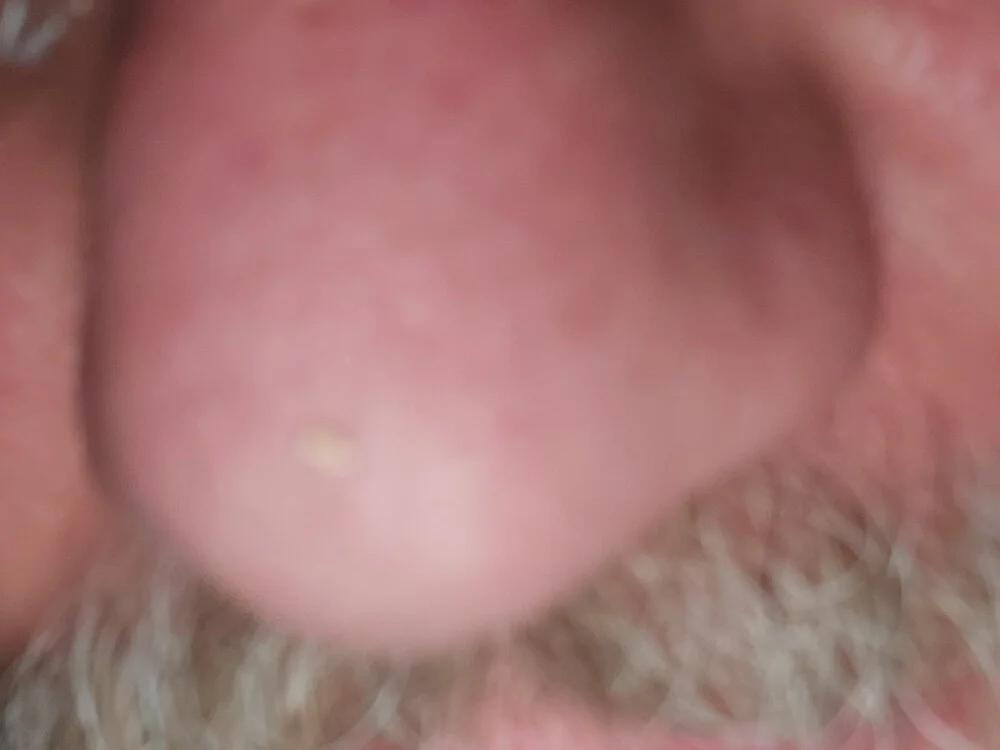 Carsexcar 离线XXX聊天