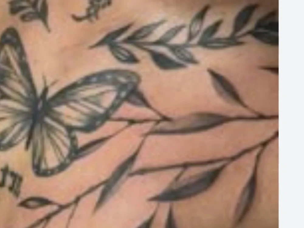 Chatroom XXX hors ligne de alphac47