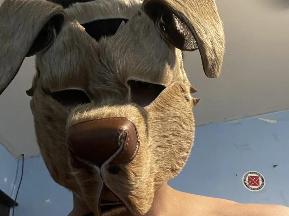 AleSlut offline XXX-chat