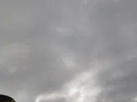 PrachtSchwanz_XL webcam thumbnail