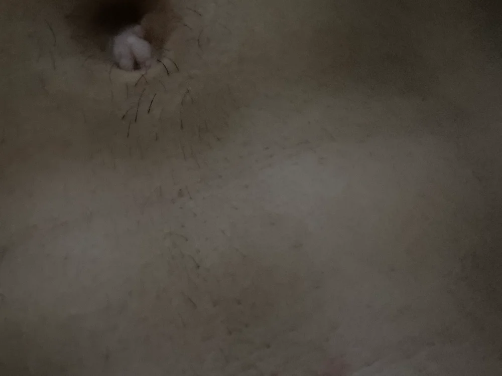 billucas Offline XXX-chat