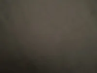 salez00