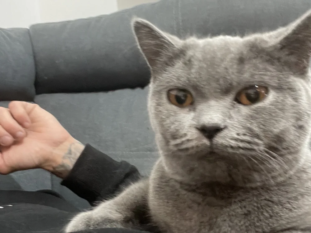 Czat XXX offline – piotrek666PL